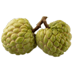 Custard Apple Golden