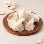 King Oyster Mushroom
